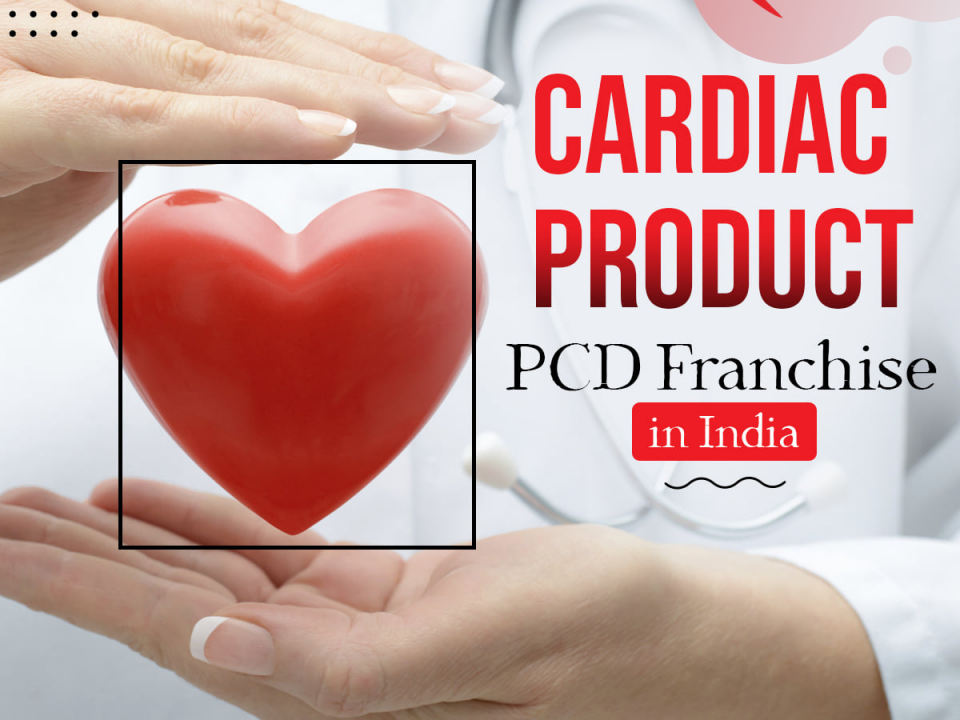 Cardiac Diabetic PCD Pharma Franchise in Rajasthan