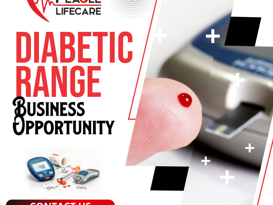 Cardiac diabetic pcd pharma franchise in Meerut