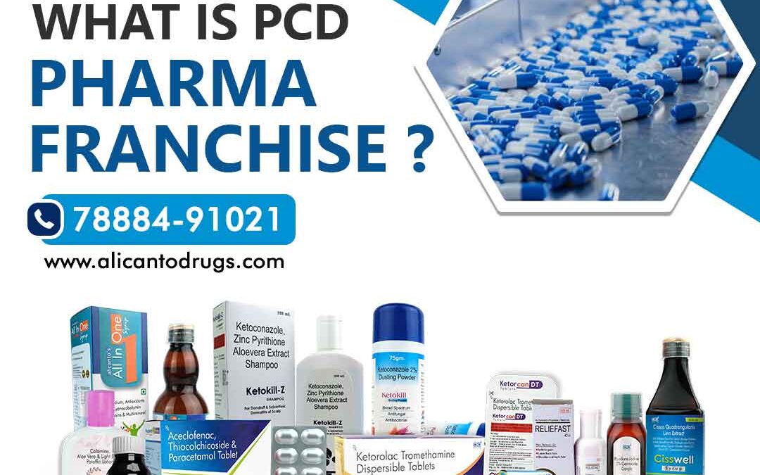 What is PCD Pharma Franchise?