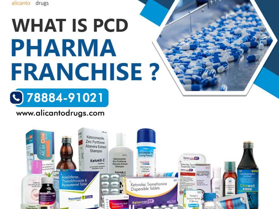 What is PCD Pharma Franchise?